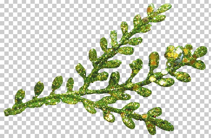 Branch PNG, Clipart, Beau, Branch, Christmas, Christmas Frame, Christmas Leaves Free PNG Download
