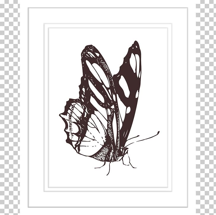 Butterfly Drawing PNG, Clipart, Arthropod, Black And White, Black Swallowtail, Branch, Brush Footed Butterfly Free PNG Download