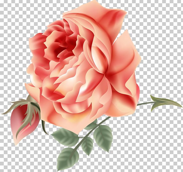 Garden Roses Centifolia Roses Cottage Garden Flower Floribunda PNG, Clipart, Beautiful Roses, Centifolia Roses, Cut Flowers, Floral Design, Floristry Free PNG Download