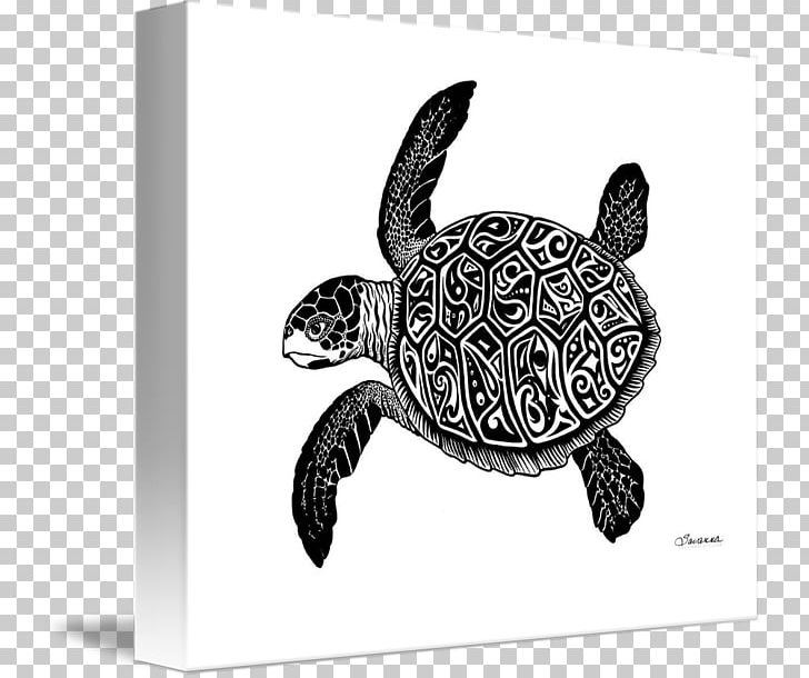 Green Sea Turtle Crush Drawing PNG, Clipart, Animals, Art, Crush, Drawing, Emydidae Free PNG Download