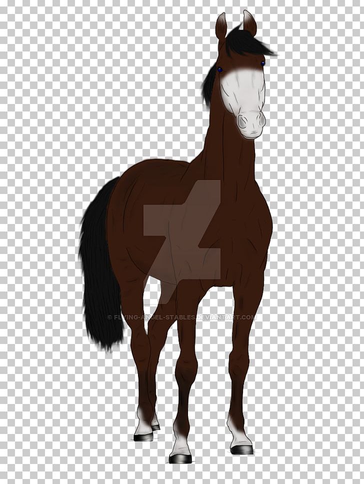 Mustang Foal Stallion Colt Mare PNG, Clipart,  Free PNG Download