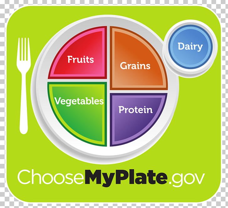 MyPlate Diet Food Pyramid Nutrition Food Group PNG, Clipart, Area, Brand, Circle, Eating, Food Free PNG Download