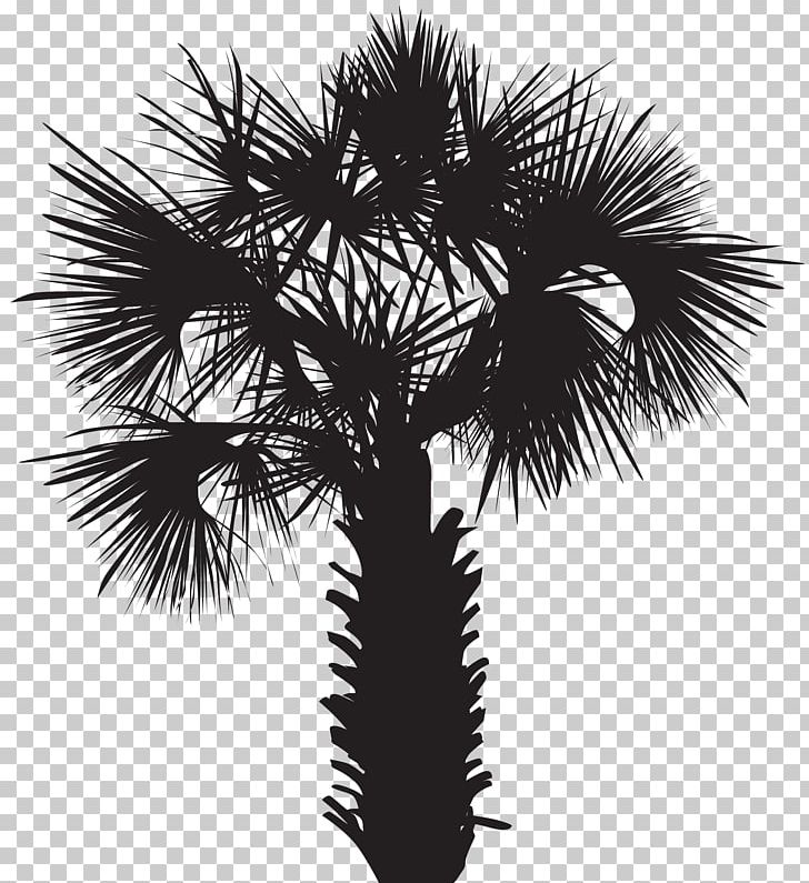 Arecaceae Silhouette Sunset PNG, Clipart, Arecaceae, Arecales, Black And White, Borassus Flabellifer, Clip Art Free PNG Download