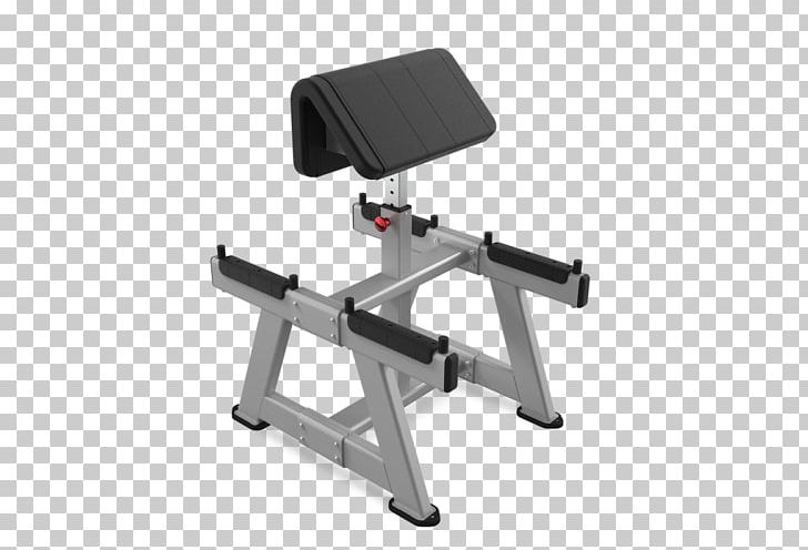 Bench Biceps Curl Star Trac Exercise Equipment Exercise Bikes PNG, Clipart, Angle, Bench, Bench Press, Biceps, Biceps Curl Free PNG Download