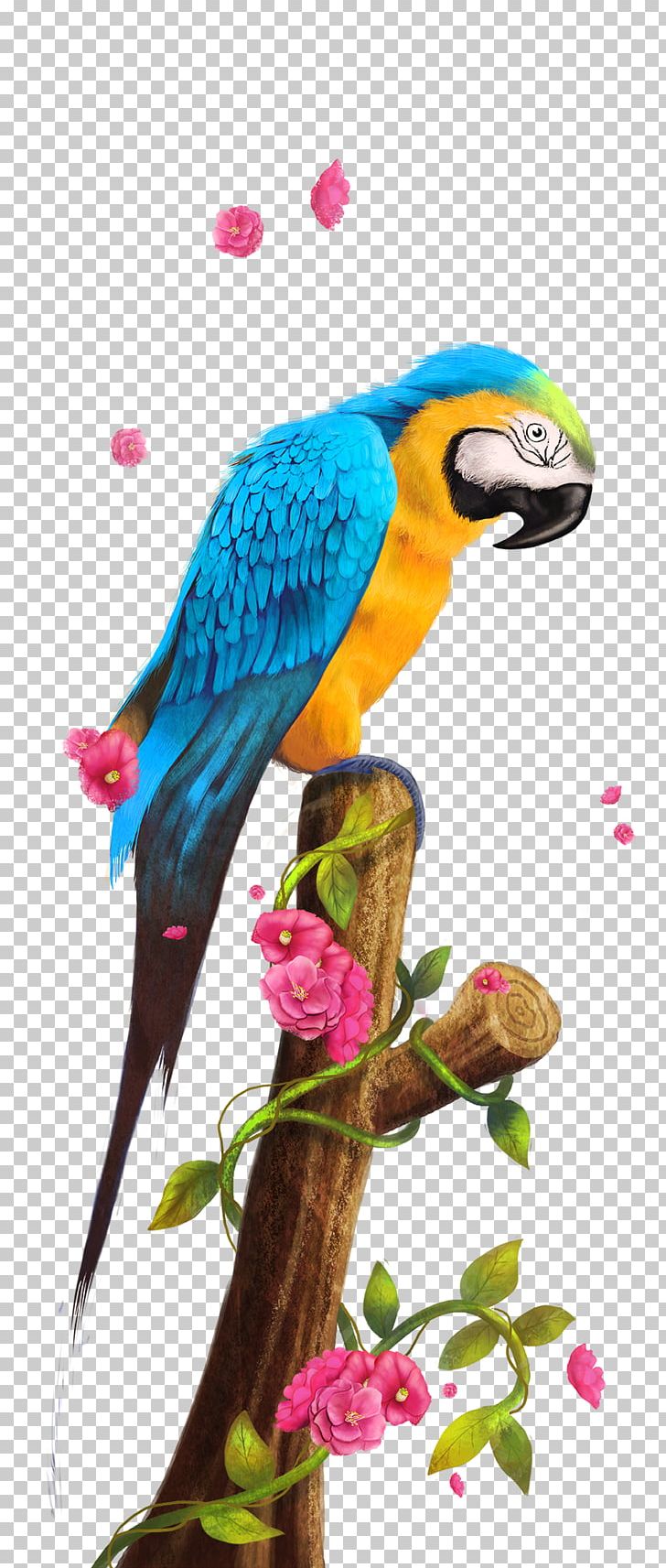 Parrot Bird Paper PNG, Clipart, Animal, Beak, Common Pet Parakeet, Download, Fauna Free PNG Download