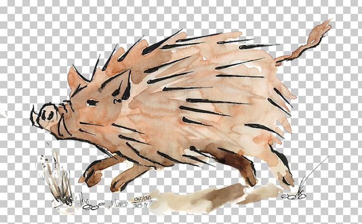 Pig Drawing /m/02csf PNG, Clipart, Animals, Art, Artwork, Carnivora, Carnivoran Free PNG Download