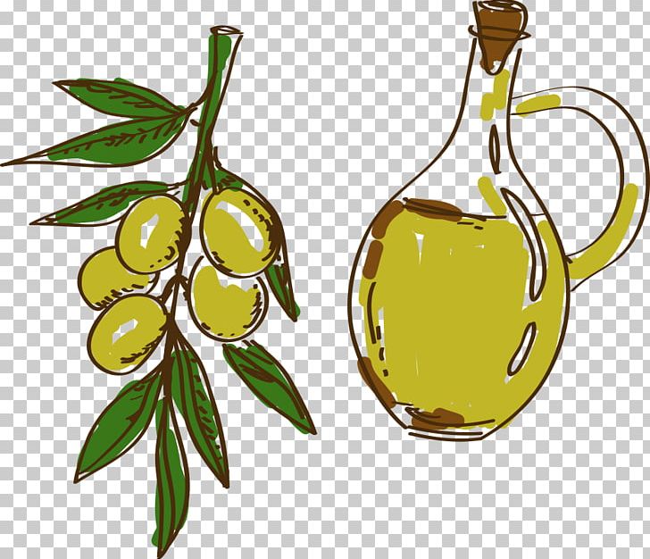Olive Oil Cartoon PNG, Clipart, Balloon Cartoon, Boy Cartoon, Branch, Cartoon, Cartoon Character Free PNG Download