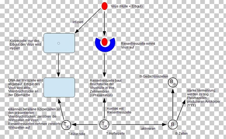 Organism Immune System Infection Parasitism Biology PNG, Clipart, Angle, Area, Biology, Breathing, Cell Free PNG Download