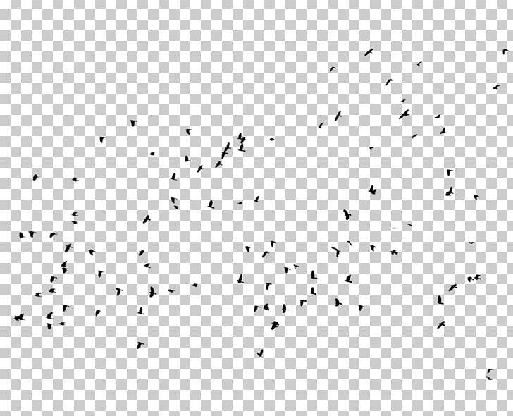 Bird Migration Line Point Font PNG, Clipart, Animal Migration, Area, Beak, Bird, Bird Migration Free PNG Download