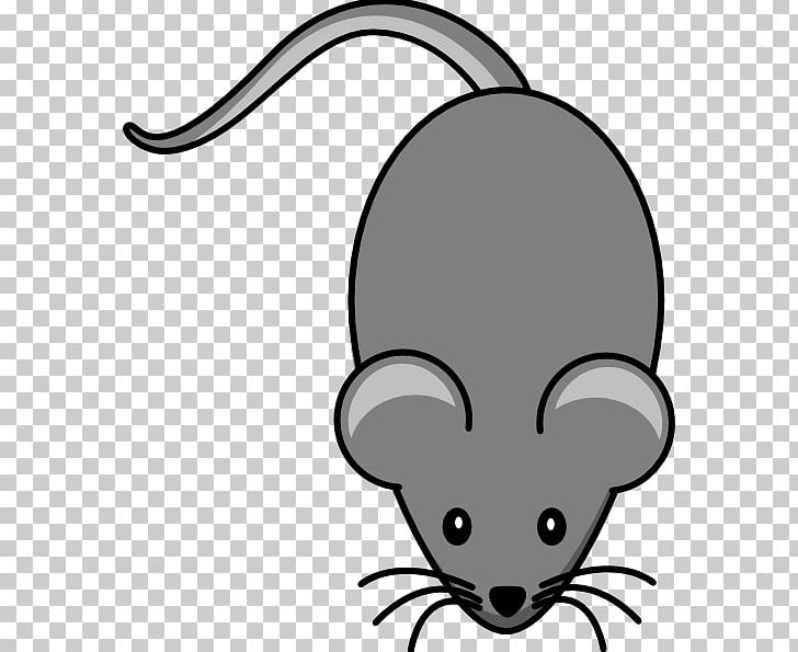 Computer Mouse Laboratory Rat Laboratory Mouse House Mouse PNG, Clipart, Black, Carnivoran, Cat Like Mammal, Dog Like Mammal, Electronics Free PNG Download