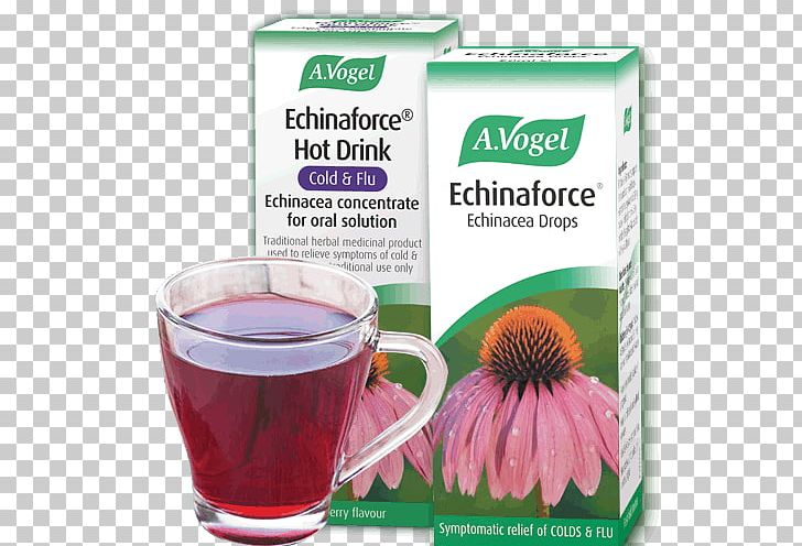 Echinacea Purpurea Echinaforce Common Cold Dietary Supplement Herb PNG, Clipart, Alfred Vogel, Common Cold, Coneflower, Dietary Supplement, Drop Free PNG Download