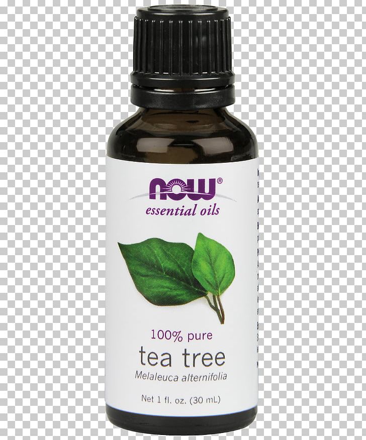 Essential Oil Tea Tree Oil Narrow-leaved Paperbark NOW Foods PNG, Clipart, Aromatherapy, Cosmetics, Essential Oil, Food, Health Free PNG Download