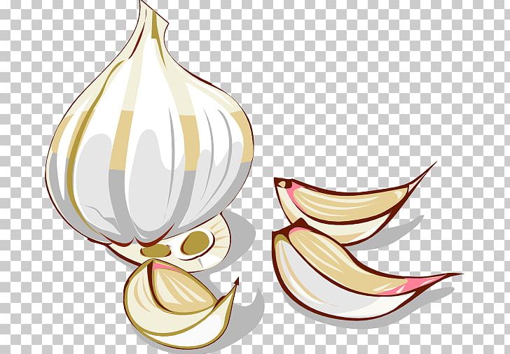 Garlic Onion Vegetable PNG, Clipart, Download, Drawing, Flower, Flowering Plant, Food Free PNG Download