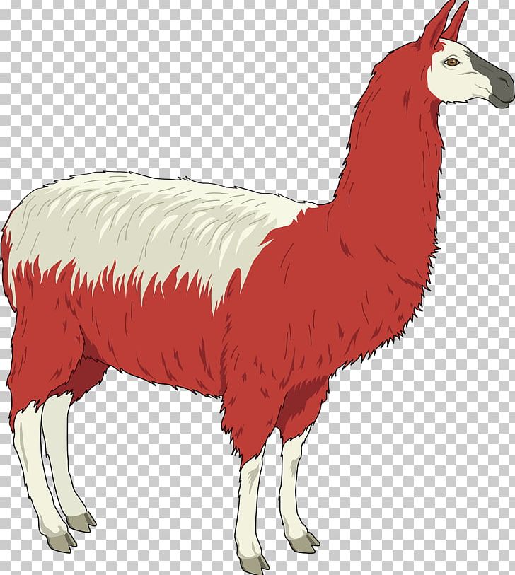 Llama Open Alpaca Free Content PNG, Clipart, Alpaca, Animal Figure, Beak, Blog, Camel Like Mammal Free PNG Download