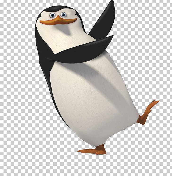 Penguin Skipper PNG, Clipart, Animals, Animation, Beak, Bird, Computer Icons Free PNG Download