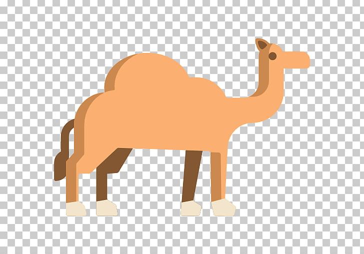 Dromedary Computer Icons Scalable Graphics Animal PNG, Clipart, Animal, Animal Figure, Animals, Arabian Camel, Camel Free PNG Download