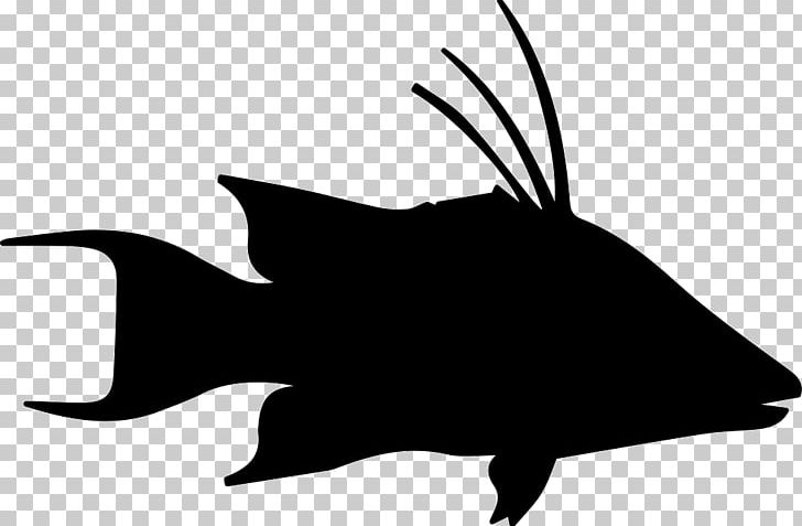 Silhouette Character Marine Mammal White PNG, Clipart, Animals, Artwork, Bat, Batm, Beak Free PNG Download