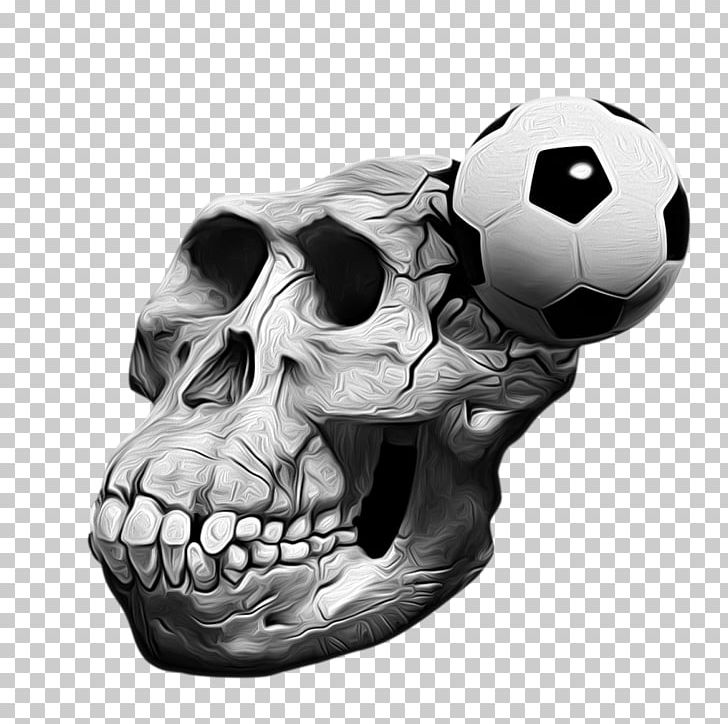 Skull Australopithecus Afarensis PNG, Clipart, Australopithecus Afarensis, Ball, Black And White, Bone, Fantasy Free PNG Download