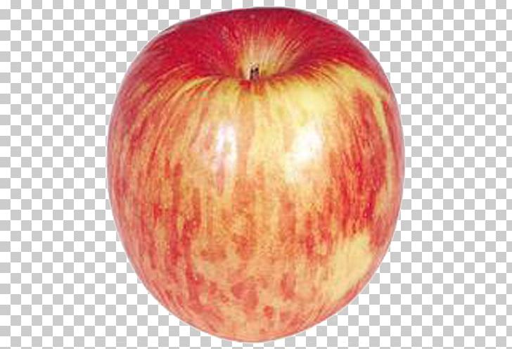 Apple Fruit Food Fuji PNG, Clipart, Apple, Apple Fruit, Apple Logo, Auglis, Blog Free PNG Download