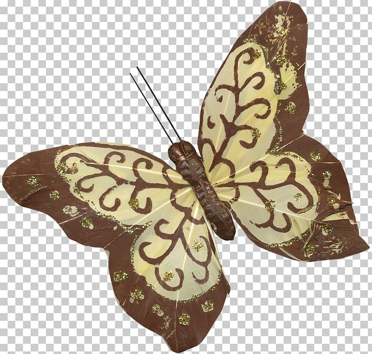 Butterfly Nymphalidae Moth Brown PNG, Clipart, Beautiful Butterfly, Beautiful Girl, Beauty, Beauty Salon, Brown Background Free PNG Download