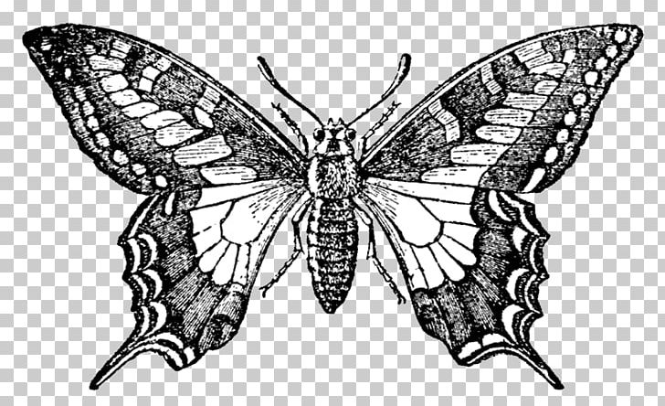 Butterfly Rubber Stamp Printing Etsy PNG, Clipart, Art, Arthropod, Black And White, Bombycidae, Brush Footed Butterfly Free PNG Download