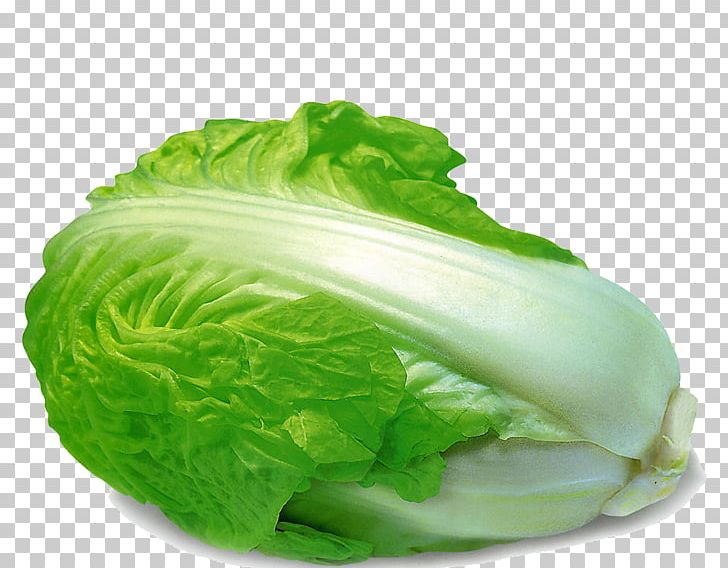 Romaine Lettuce Vegetable Chinese Cabbage Food PNG, Clipart, Auglis, Cabbage, Cabbage Leaves, Cartoon Cabbage, Child Free PNG Download