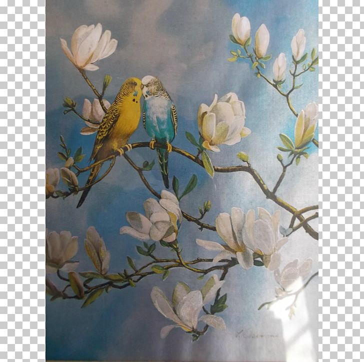 Still Life Photography Magnolia Family Desktop PNG, Clipart, Art, Art By, Blossom, Branch, Budgie Free PNG Download
