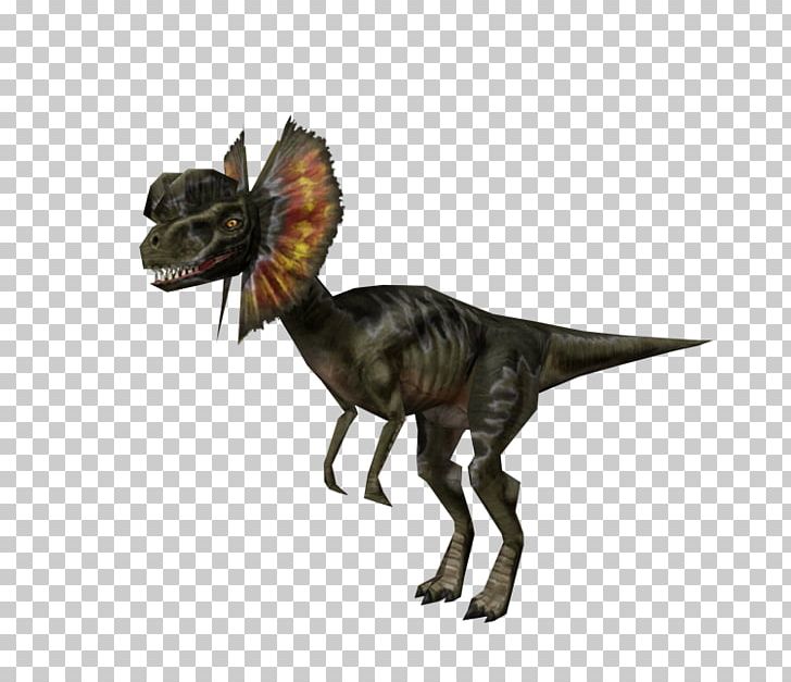 Velociraptor Tyrannosaurus Ceratosaurus Pachycephalosaurus Triceratops PNG, Clipart, Ceratosaurus, Dinosaur, Extinction, Fantasy, Fauna Free PNG Download