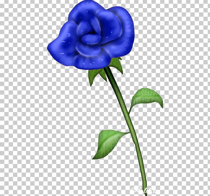 Blue Rose Garden Roses PNG, Clipart, Bellflower Family, Blue, Bluegreen, Blue Rose, Cut Flowers Free PNG Download