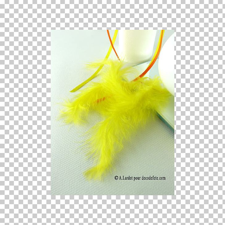 Feather Yellow Sachet PNG, Clipart, Animals, Feather, Plume, Sachet, Yellow Free PNG Download