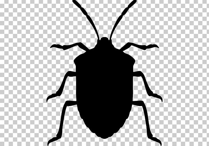 Insect Green Stink Bug Brown Marmorated Stink Bug PNG, Clipart, Animals, Arthropod, Artwork, Beetle, Black And White Free PNG Download