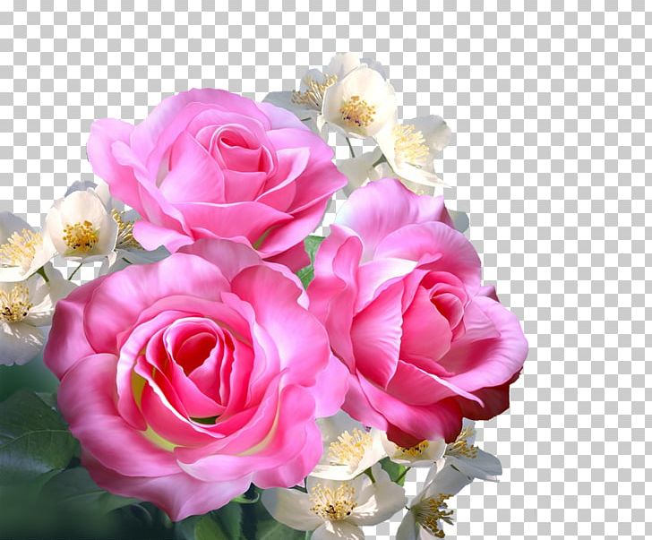 Still Life: Pink Roses Garden Roses Centifolia Roses Beach Rose PNG, Clipart, Artificial Flower, Cluster, Color, Euclidean Vector, Flor Free PNG Download
