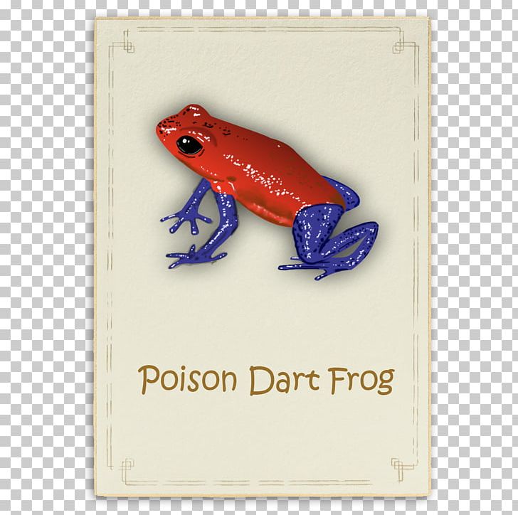 Tree Frog Rectangle Font PNG, Clipart, Amphibian, Animals, Complete