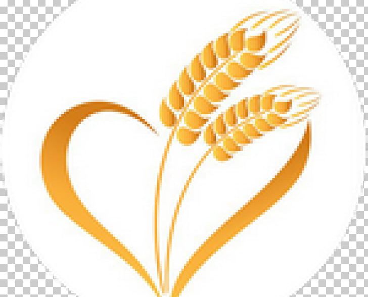 Wheat Caryopsis Ear Cereal Food Grain PNG, Clipart, Caryopsis, Cereal, Commodity, Computer Icons, Ear Free PNG Download