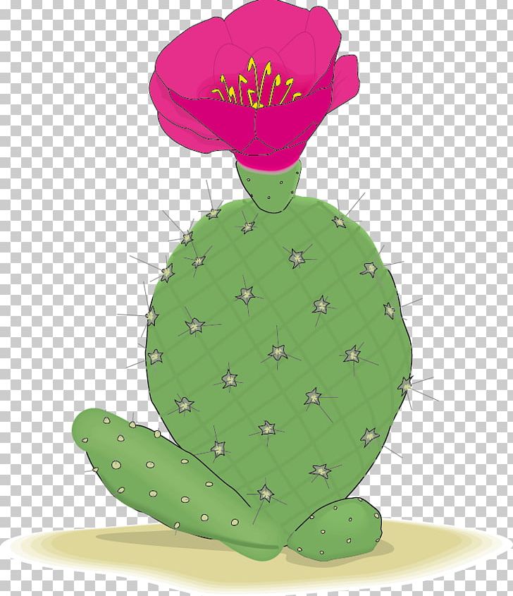 Cactaceae PNG, Clipart, Animation, Background Material, Cactus, Cactus Cartoon, Cactus Creative Free PNG Download