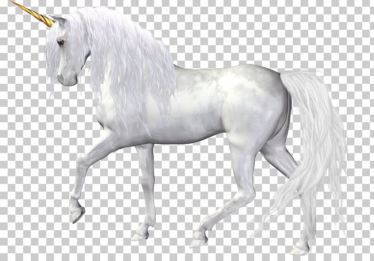 Horse The Black Unicorn PNG, Clipart, Animal Figure, Animals, Black Unicorn, Bridle, Data Compression Free PNG Download