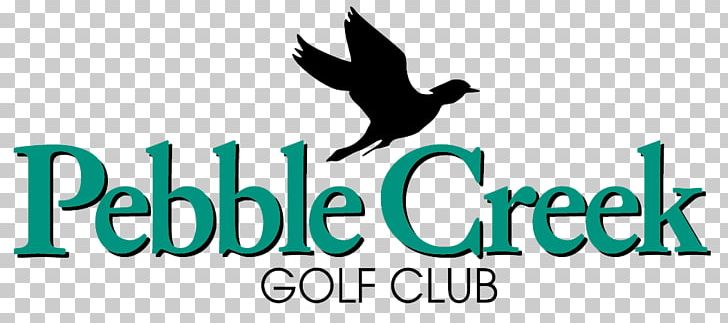 Pebble Beach Golf Links Golf Course Golf Tees PNG, Clipart, Beak, Bird, Brand, Golf, Golf Balls Free PNG Download