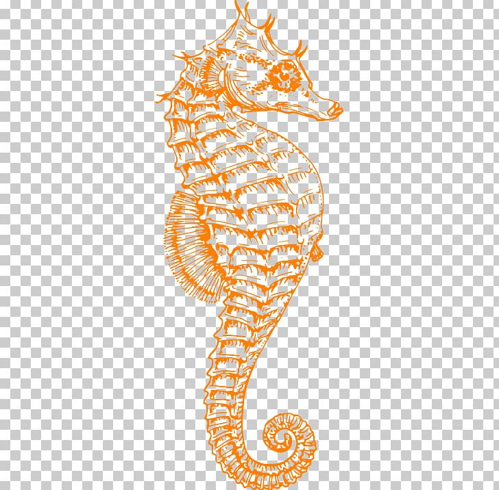 Seahorse PNG, Clipart, Seahorse Free PNG Download