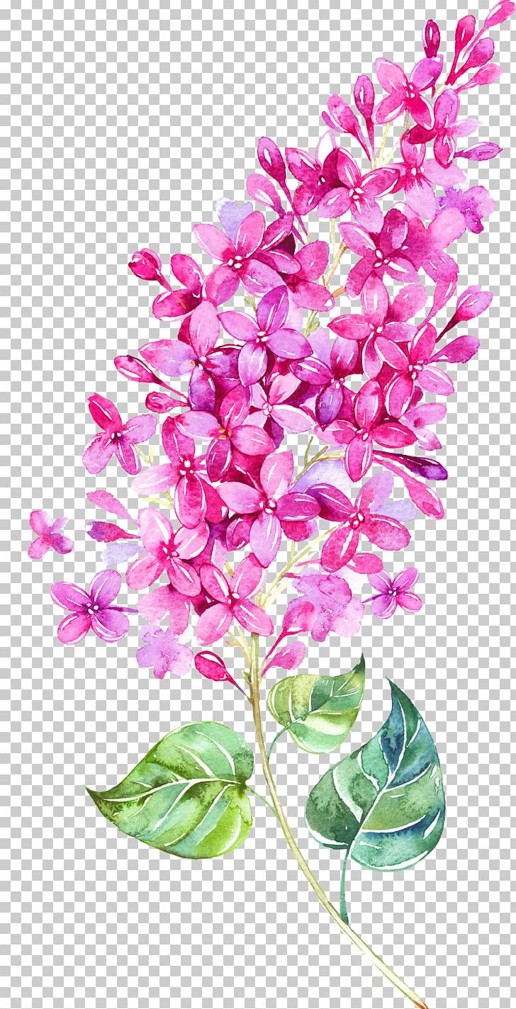 Watercolor Painting Flower PNG, Clipart, Branch, Canvas, Cut Flowers, Dendrobium, Flora Free PNG Download