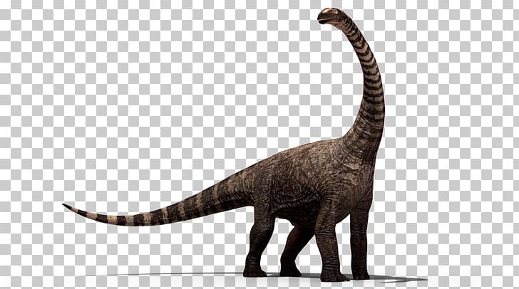 Dinosaur Stegosaurus PNG, Clipart, Australovenator, Dinosaur, Dinosaur Fossils, Dinosaur Png, Fantasy Free PNG Download