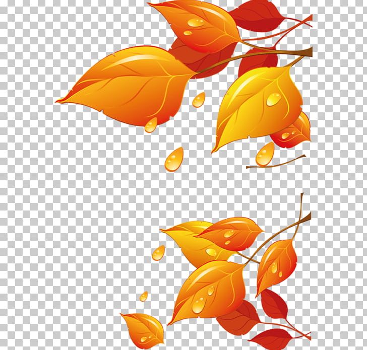 Graphics Portable Network Graphics Raster Graphics PNG, Clipart, Autumn, Computer Graphics, Computer Icons, Download, Fish Free PNG Download