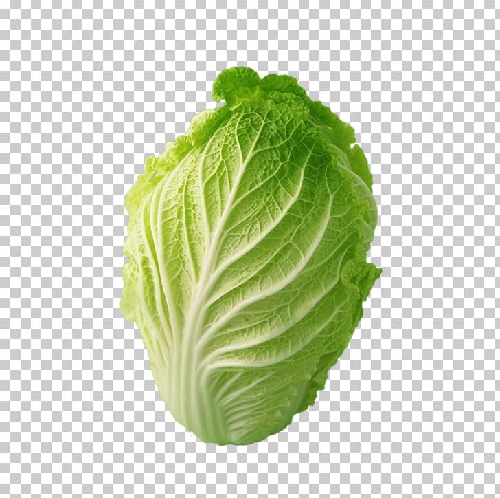 Napa Cabbage Bok Choy Chinese Cabbage Cauliflower PNG, Clipart, Cabbage, Cabbage Family, Cauliflower, Encapsulated Postscript, Food Free PNG Download