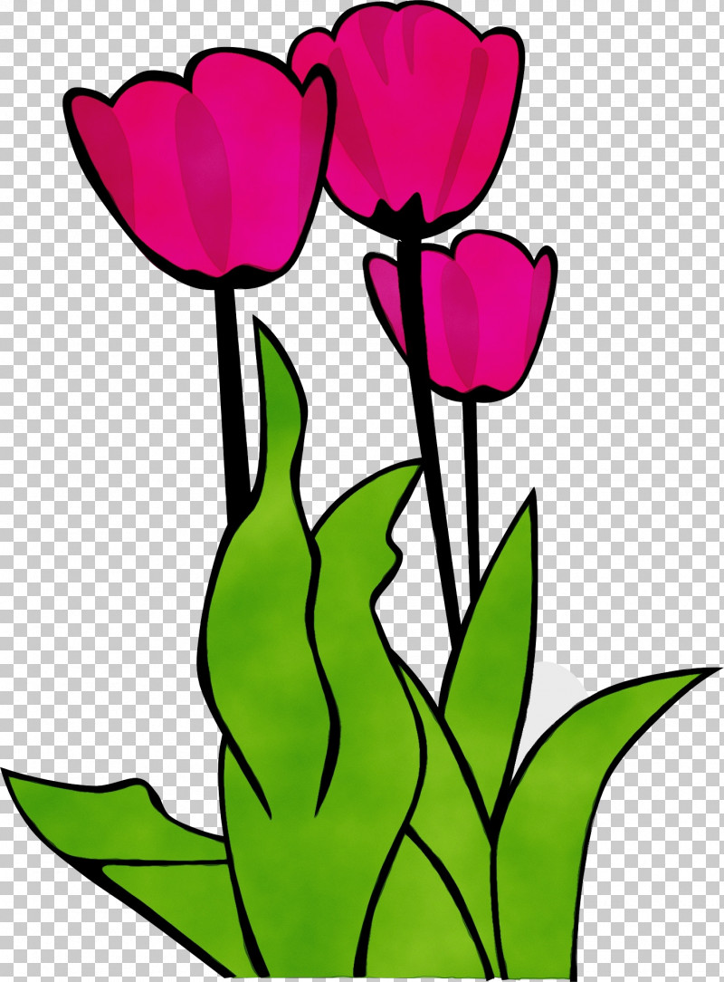 Flower Tulip Petal Pink Plant PNG, Clipart, Cut Flowers, Flower, Herbaceous Plant, Paint, Pedicel Free PNG Download