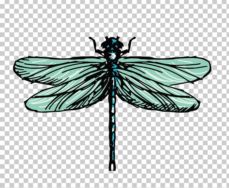 Drawing Dragonfly Illustration PNG, Clipart, Arthropod, Cartoon Dragonfly,  Dra, Dragonfly Wings, Dragonfly With Flower Free PNG