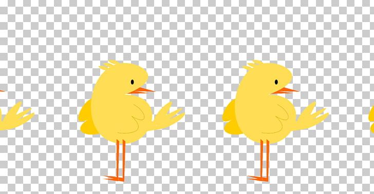 Duck Desktop Beak PNG, Clipart, Animals, Beak, Bird, Chicken, Chicken As Food Free PNG Download