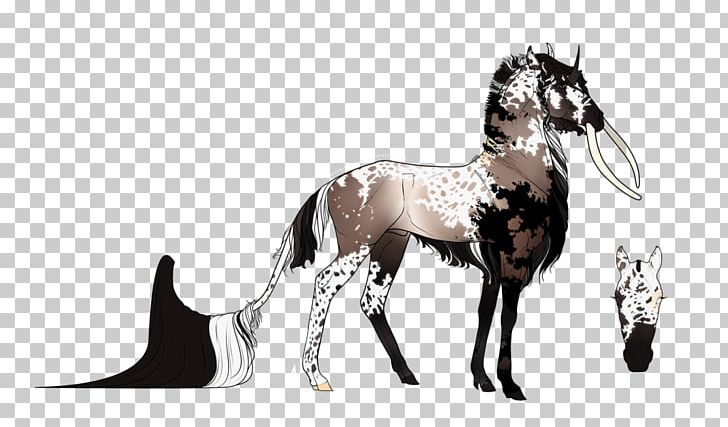 Mustang Foal Stallion Colt Pony PNG, Clipart,  Free PNG Download