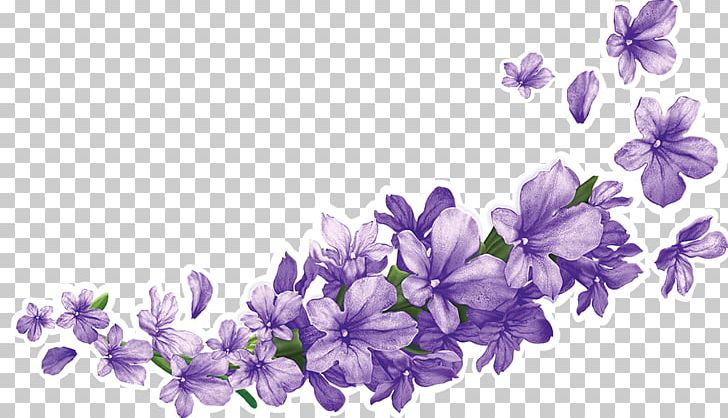 Shree Gulabsons & Co. Lavender Information PNG, Clipart, Bellflower Family, Branch, Cut Flowers, English Lavender, Flower Free PNG Download