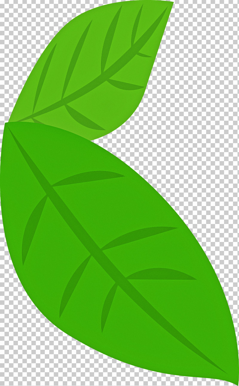 Banana Leaf PNG, Clipart, Banana Leaf, Green, Leaf, Logo, Plant Free PNG  Download