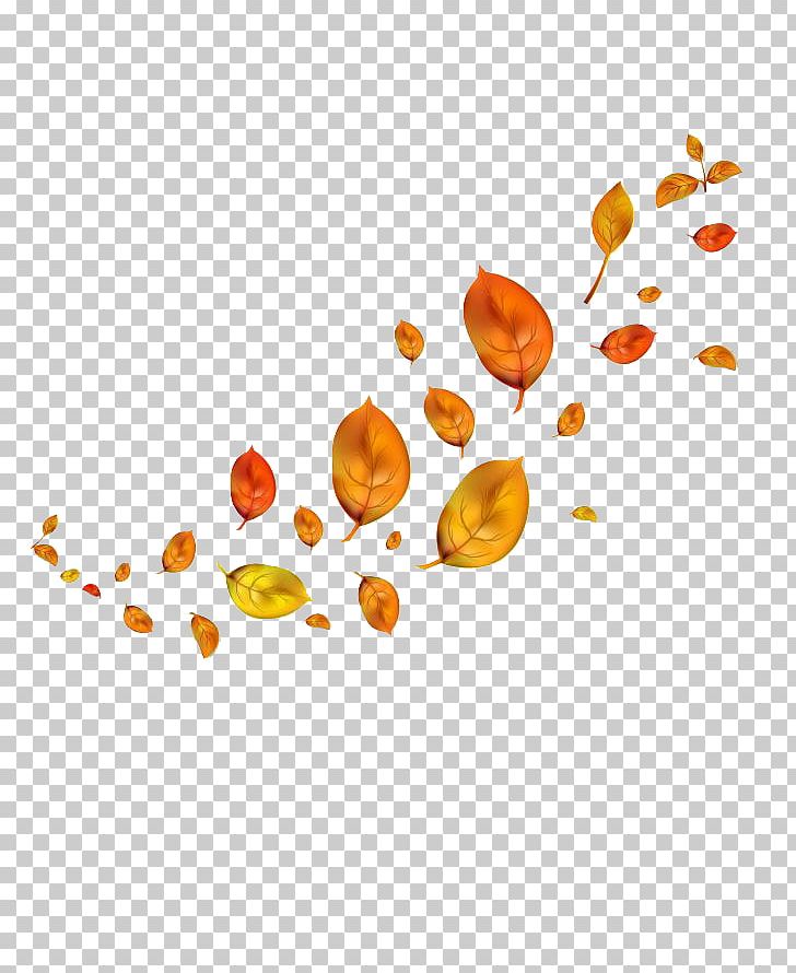 Autumn Leaves Leaf PNG, Clipart, Aestheticism, Akiba, Autumn, Autumn Leaves, Autumn Tree Free PNG Download