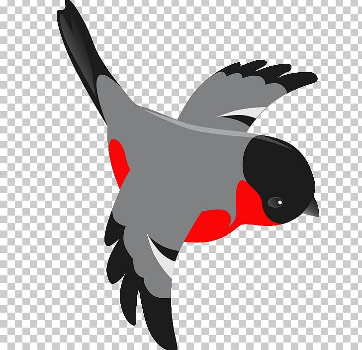 Bird Eurasian Magpie Chicken PNG, Clipart, Animals, Art, Beak, Bird, Cartoon Free PNG Download